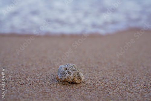 coral parts, stones, shells on the sand. Dead coral on sand. gray and brown color texture and pattern tropical beach.