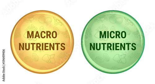 Vector set of icons or symbols of micro nutrients or micronutrients and macro nutrients or macronutrients isolated on white background. Vitamins and minerals, carbs, carbohydrates, proteins, and fats. photo