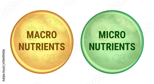 Vector set of icons or symbols of micro nutrients or micronutrients and macro nutrients or macronutrients isolated on white background. Vitamins and minerals, carbs, carbohydrates, proteins, and fats.