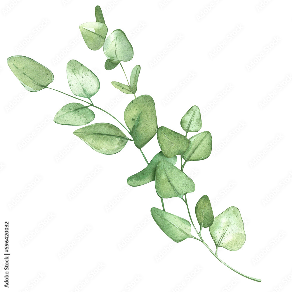Eucalyptus branches. Green frame for rustic background. For banner design or wedding invitation. Watercolor illustrations with plants. Eucalyptus branches. Green frame for rustic background. For banner design or wedding invitation. Watercolor illustrations with plants.