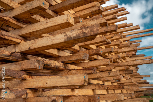 The piles of wood are placed to dry in Iringa region before shipped to various places in Tanzania