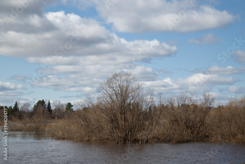 Spring landscape on the lake with blue sky and clouds.