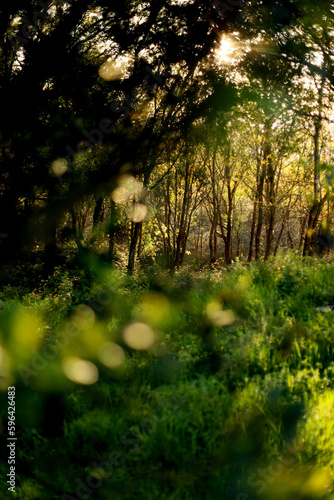 Natureza
