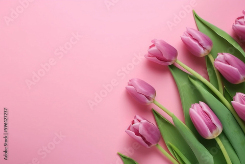 Spring tulip flowers on pink background top view in flat lay style. Greeting for Womens or Mothers Day or Spring Sale Banner