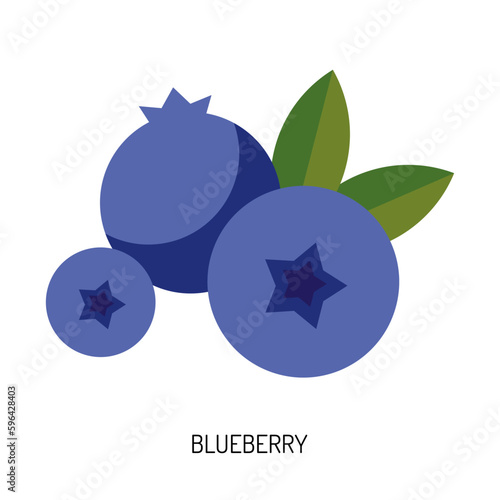 Juicy blueberry berry isolated on a white background. Vector illustration of berries for design