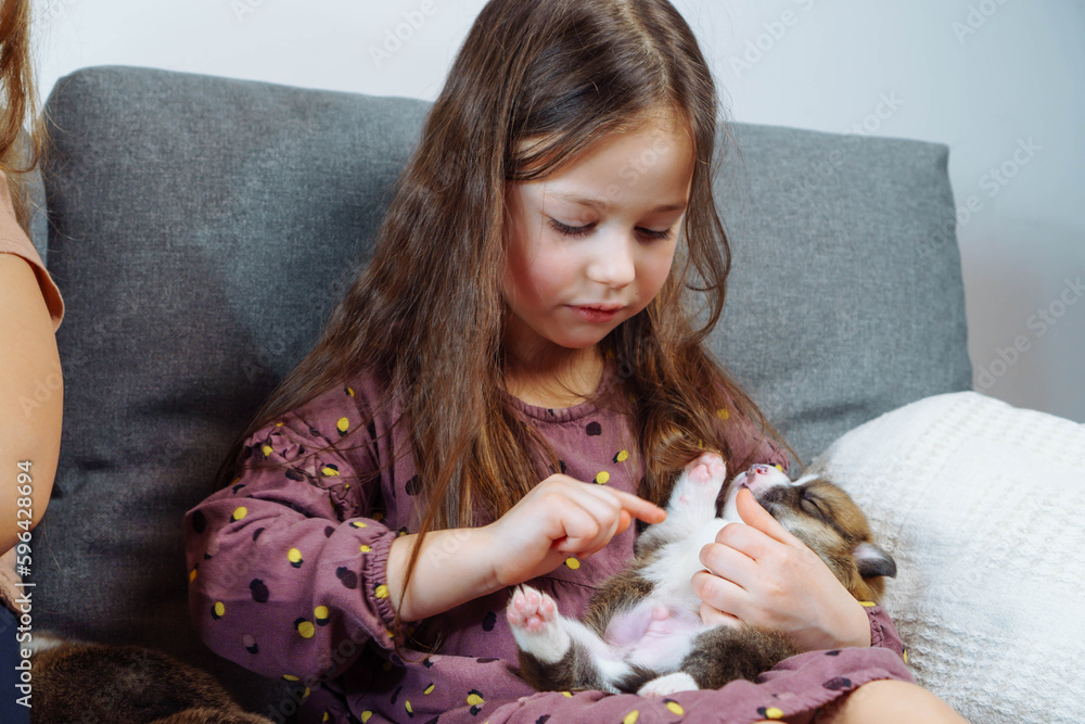 Lovely girl with long hair in dress is sitting on sofa hugging little puppy and gently stroking his tummy. Children and dogs. Love and happiness. Positive emotions. Responsibility education. Lovely girl with long hair in dress is sitting on sofa hugging little puppy and gently stroking his tummy. Children and dogs. Love and happiness. Positive emotions. Responsibility education.