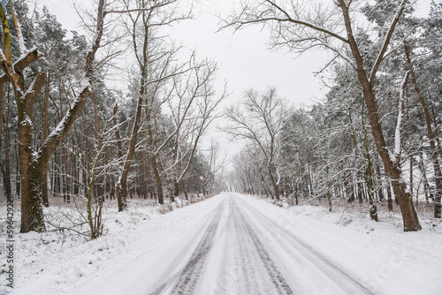 Winter landscape. Snowy road. © Kozioł Kamila