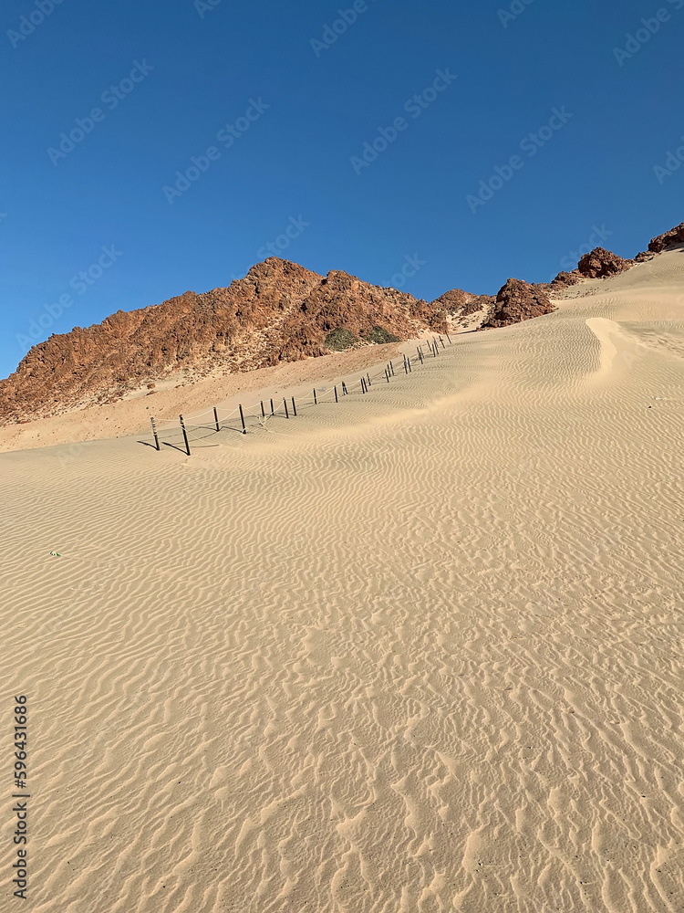 Sand dunes where tourists riding on the sandboards. Nabq protected area, Sinai peninsula, Egypt