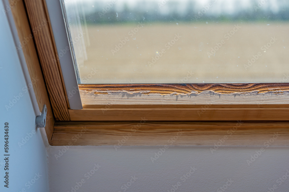 Roof window after leaking, wood is starting to rot, old weathered wooden window Roof window after leaking, wood is starting to rot, old weathered wooden window