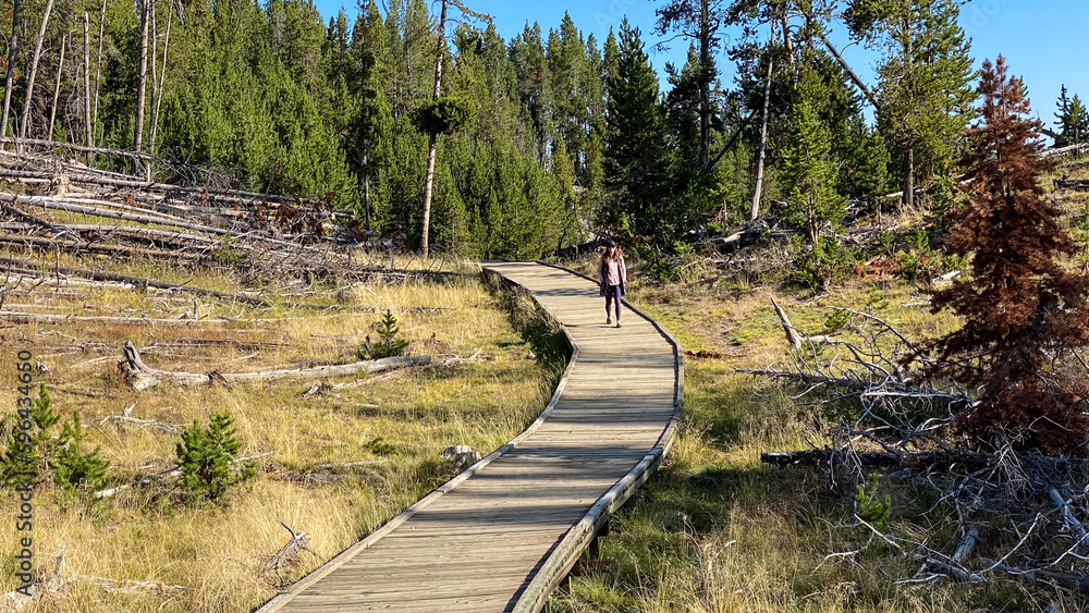 Obraz premium woman walking the path in the Mud Volcano Area in Yellowstone