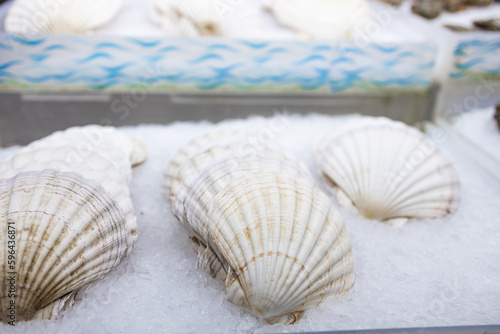 Fresh french scallops on a seafood market at Barcelona, Spain. High quality photo