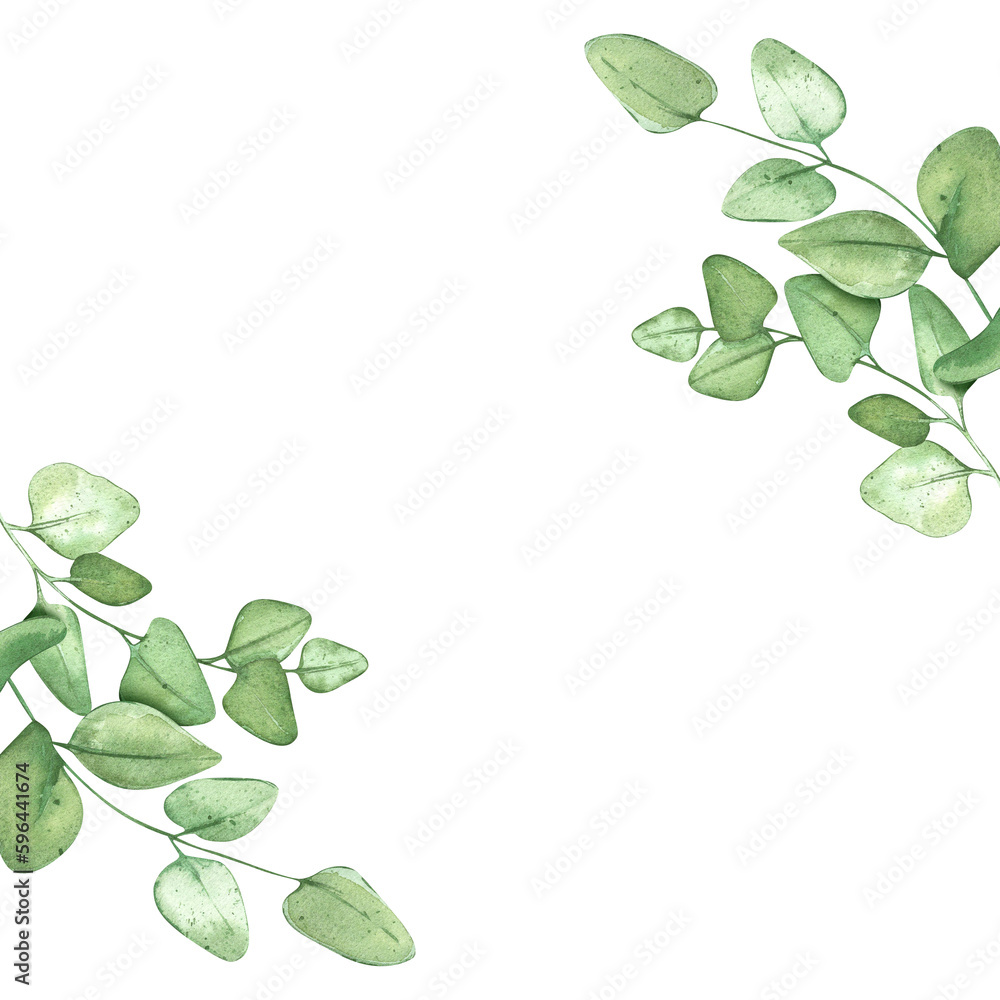 Obraz premium Eucalyptus branches. Green frame for rustic background. For banner design or wedding invitation. Watercolor illustrations with plants.