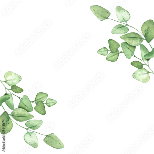 Eucalyptus branches. Green frame for rustic background. For banner design or wedding invitation. Watercolor illustrations with plants.