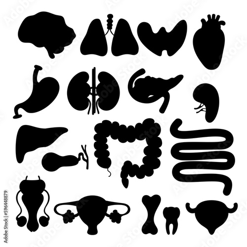 Collection medical organs silhouettes. Human internal organs. vector illustration. Anatomy concept. Isolated graphic drawings silhouettes for design, decor.