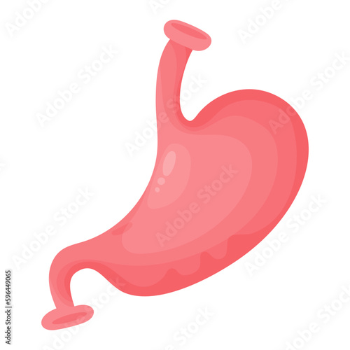 Stomach. Human organ of gastrointestinal tract. Vector illustration in flat cartoon style. Anatomy concept