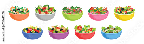 Fresh Salads in Bowl with Mixed Ingredients Vector Set