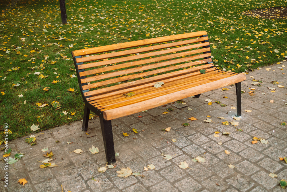 Lonely wooden bench in the autumn city park. Gdansk, Poland. High quality photo Lonely wooden bench in the autumn city park. Gdansk, Poland. High quality photo