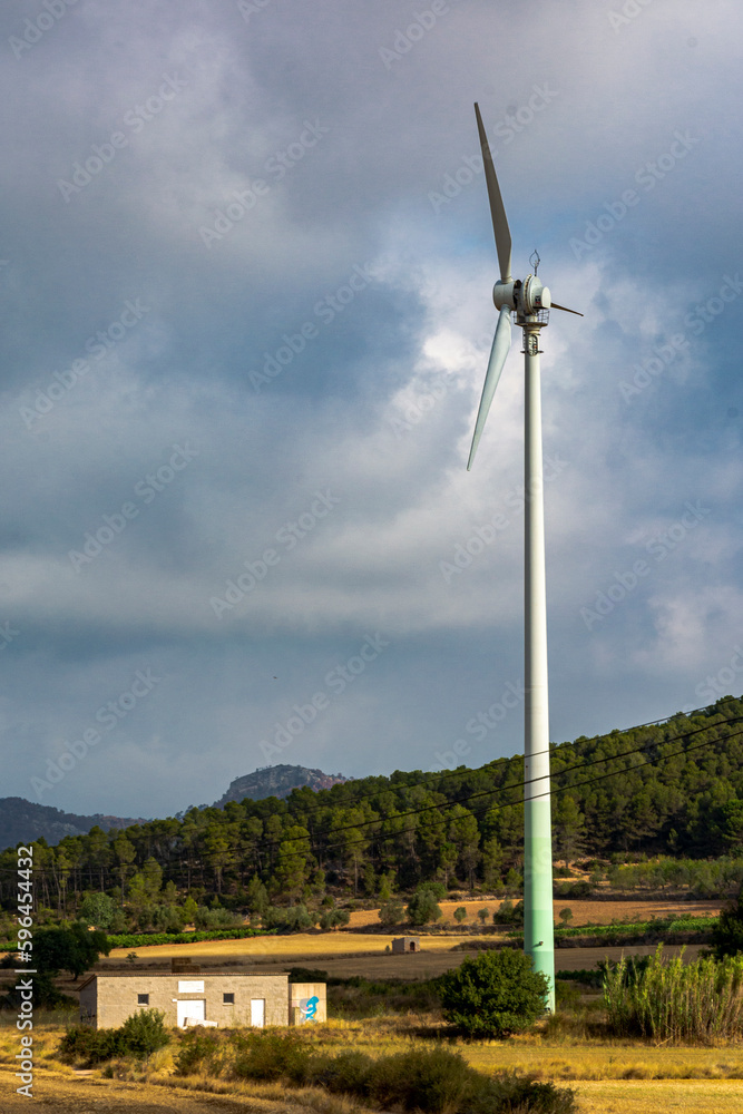 Wind turbine installed near a farm to feed itself.