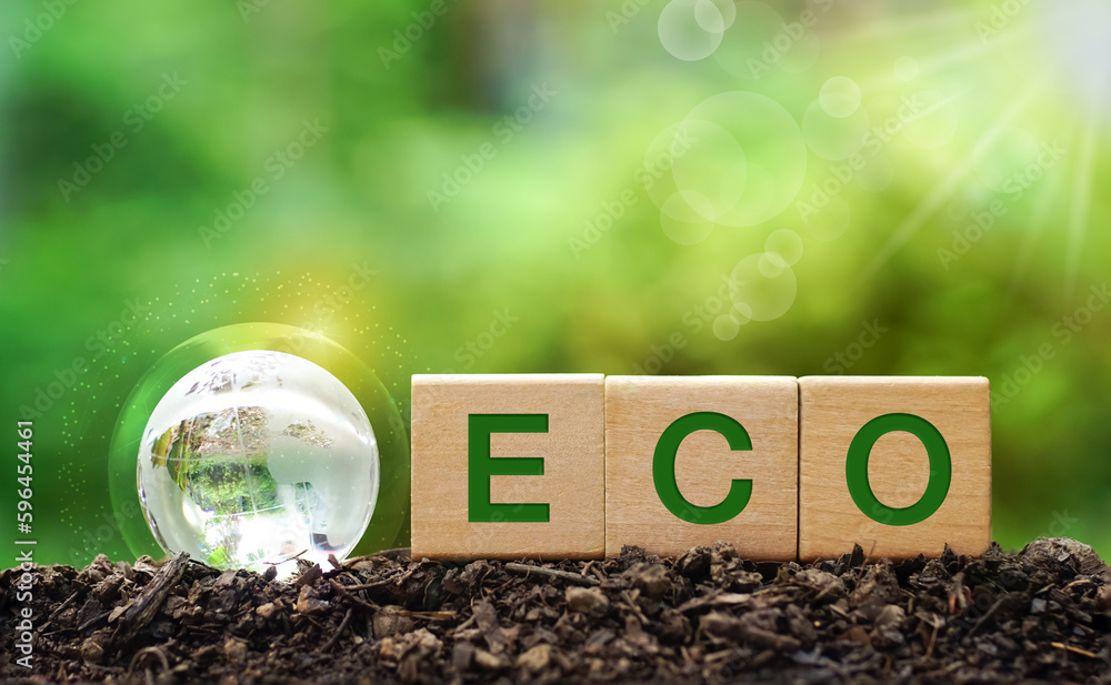 Words ECO on wooden cubes on green sunny background save clean planet