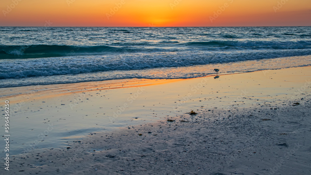 sunset on the beach with lone bird with incoming tide.