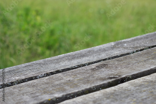 diagonal old wooden planks with green grass blurred background