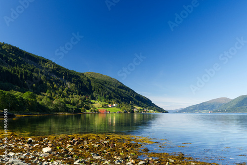 Landschaft am Eidsfjord in Norwegen mit Steinen und Algen am Ufer