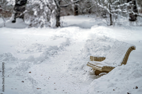 Wallpaper Mural park bench covered with snow in winter. bench covered with snow. park after snowfall Torontodigital.ca