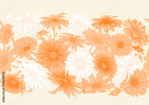 Calendula medicinal herbs and flowers seamless pattern, background. Vector illustration.