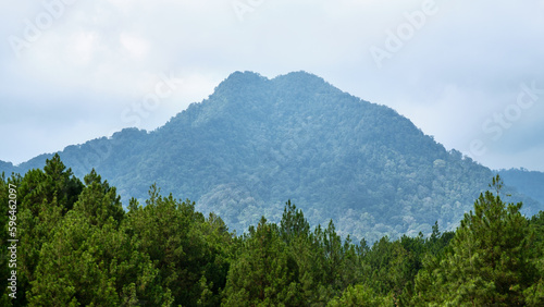 A Refreshing Mountain View  Rejuvenating Breeze  Serene Greenery  and Majestic Terrain