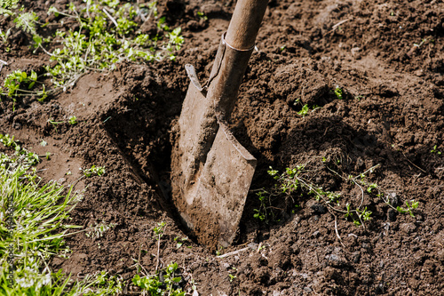 A shovel with a handle, a garden tool in earthen soil close-up.