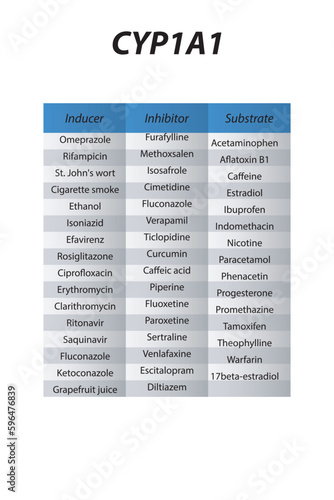 Cytochrome CYP1A1 table of inhibitors, inducers and substrates with examples.       photo