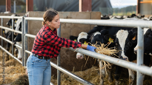 Cuadro en lienzo Female farmer feeding cows with hay in cowshed of farm
