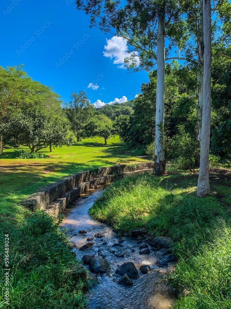 Picturesque Stream Picturesque Stream