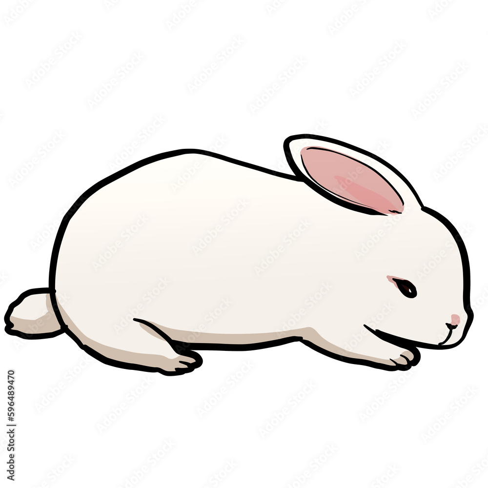 Illustration of a simple and realistic white rabbit Illustration of a simple and realistic white rabbit