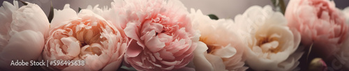 A delicate and feminine peony banner with soft pink and white blooms arranged in a circular pattern. 