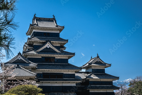 長野県松本市の松本城と青空
