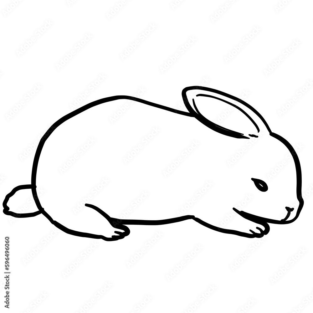 Line drawing of a simple and realistic sleeping rabbit line drawing Line drawing of a simple and realistic sleeping rabbit line drawing
