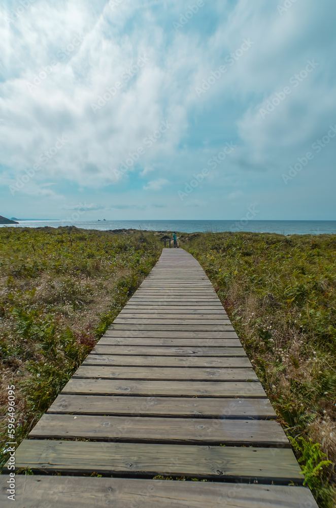 Wooden platforms that go towards the beach of Xago, in Asturias, surrounded by vegetation, on a sunny day (vertical view).