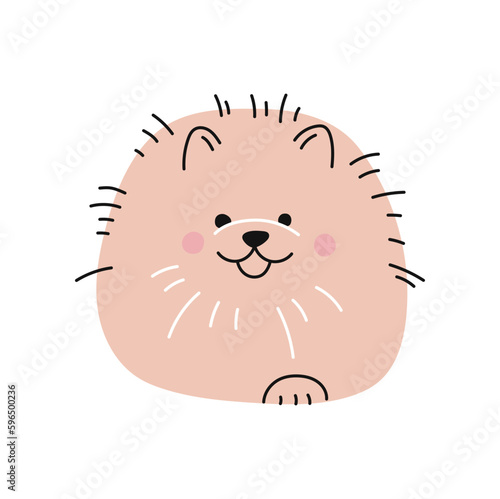 Pomeranian spitz dog cute puppy pet character. Vector funny animal doodle, cartoon puppy character design. Vector adorable dog german spitz portrait