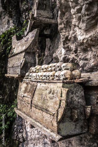 human skulls are exposed at londa graveyard, indonesia