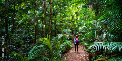 Beautiul girl with a backpack walks in magical green lush stunning rainforest - D'Aguilar National Park (Maiala trail) near Brisbane, Queensland, Australia photo