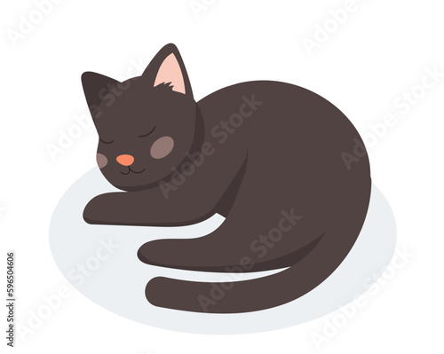 Isometric black cat