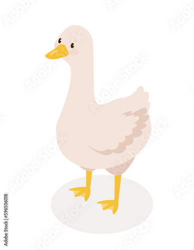 Isometric farm goose concept
