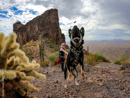 Dog on leash catches treat mid-air during dramatic desert mountain hike