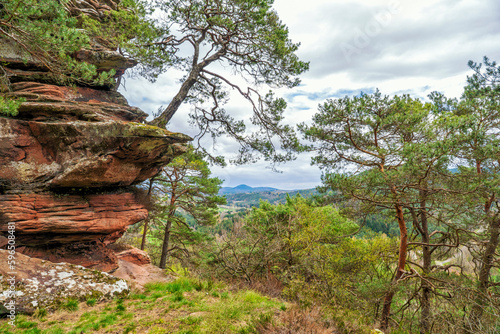 Ausblick vom Nesselberger Felsenwunder bei Lug über den Pfälzer Wald