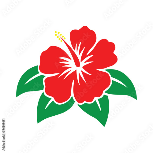 Hibiscus flower, vector illustration, vector graphics