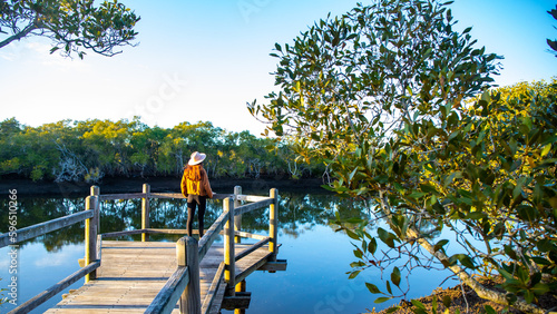 A beautiful girl in a hat walks along a wooden boardwalk and admires the lush mangrove forest on Nudgee beach, Brisbane, Queensland, Australia
