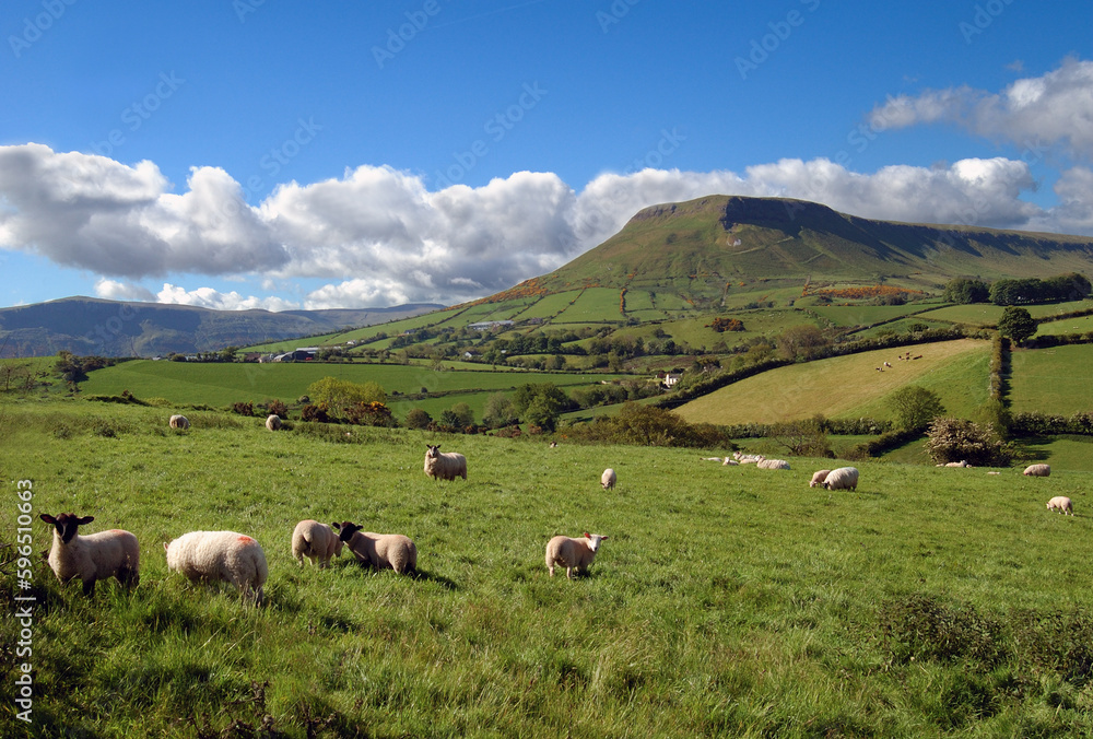 Glens of Antrim near Cushendall Glens of Antrim near Cushendall