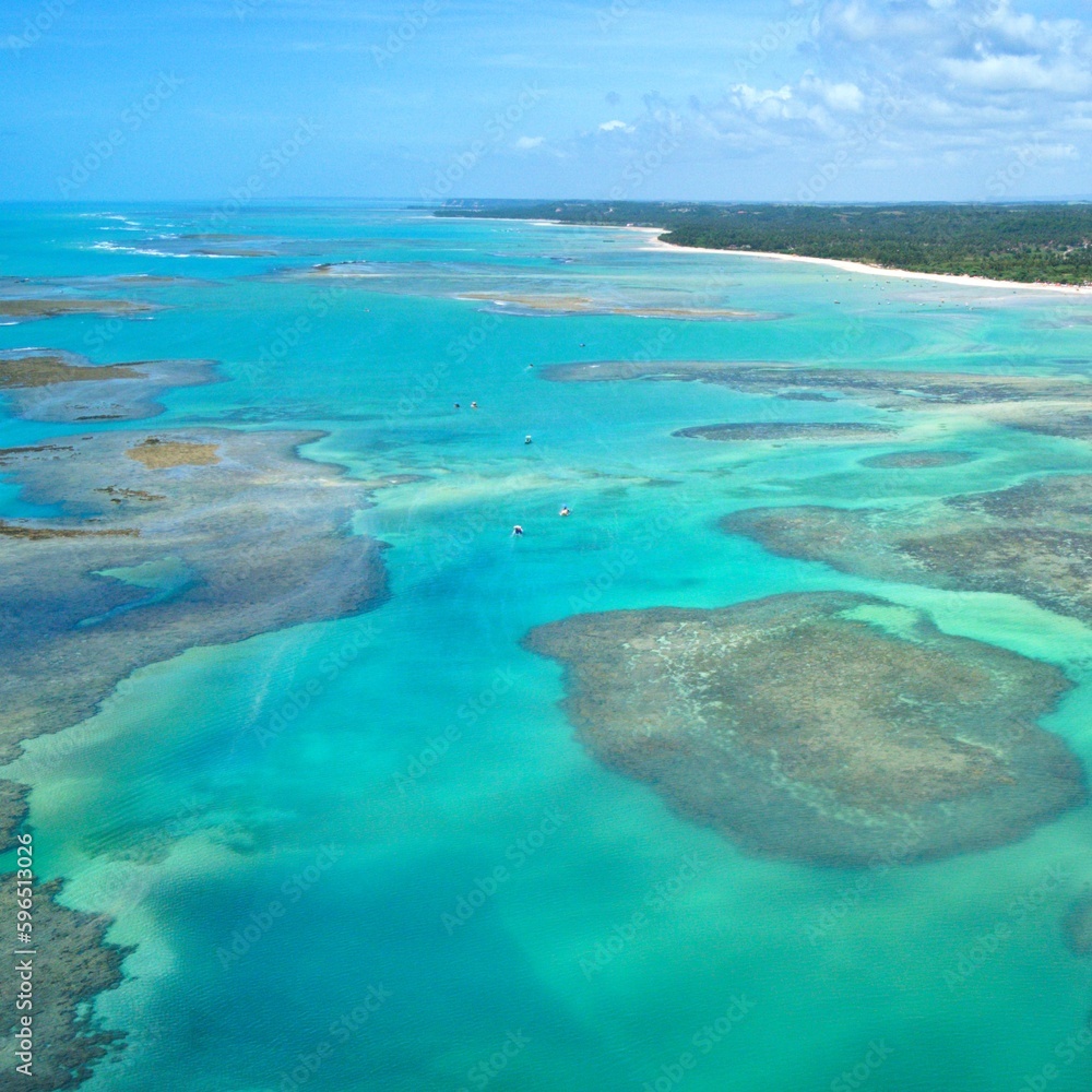 Obraz premium São Miguel dos Milagres, Alagoas. Crystalline waters, natural pools and beautiful, paradisiacal landscapes