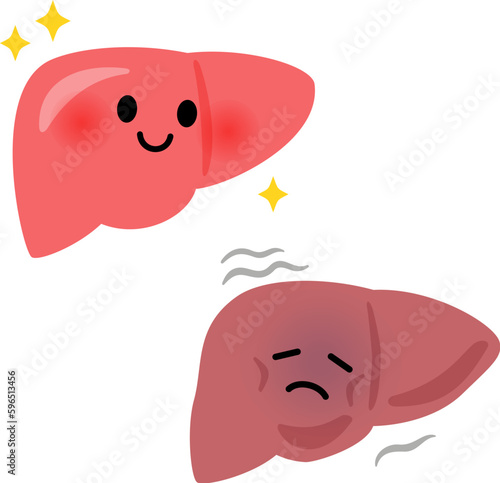 元気な肝臓と疲れた肝臓のキャラクター photo